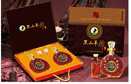 體驗(yàn)+會(huì)銷(xiāo)-專(zhuān)攻“骨關(guān)節(jié)、腎臟、睡眠”